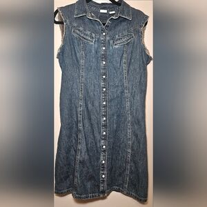 Levi Blue Denim Button-Down Dress